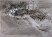 Sanddünen
