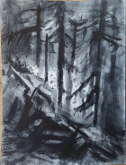 Sterbender Wald